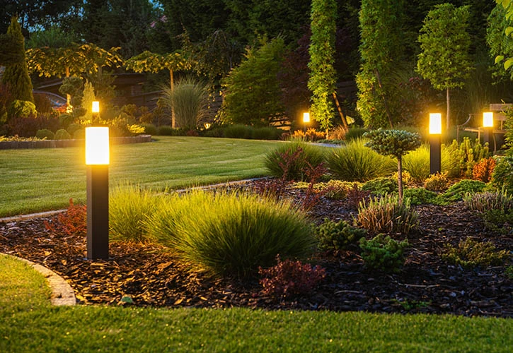 Outdoor landscape lighting illuminating a garden
